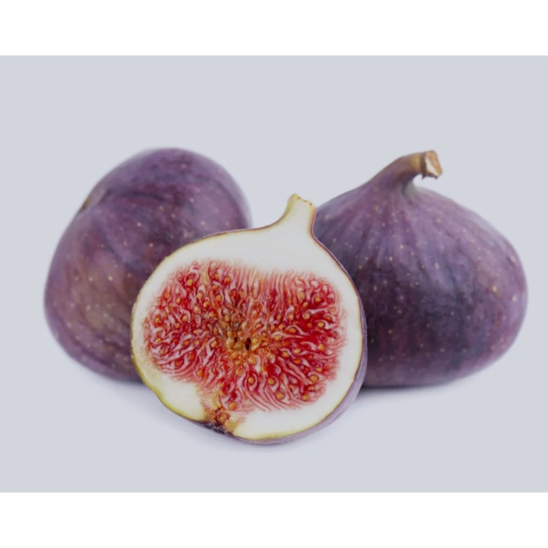 ΓΛΥΚΟ ΚΟΥΤΑΛΙΟΥ ΣΥΚΟ 5kg