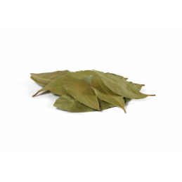 ΔΑΦΝΗ  1κλ
