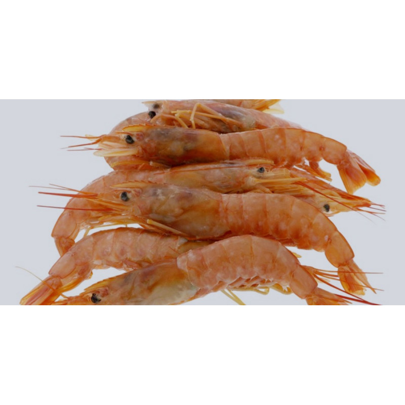 ΓΑΡΙΔΕΣ ΑΡΓΕΝΤΙΝΗΣ Νο2  2kg ΚΤΨ